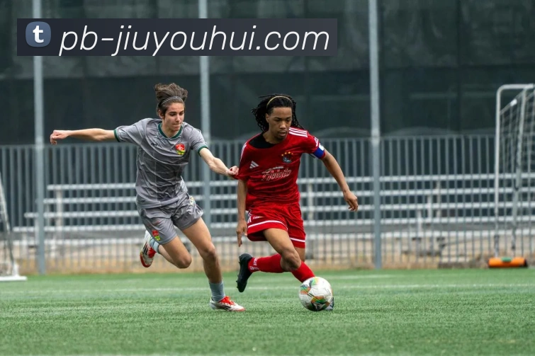 九游会J9官网APP 封面图